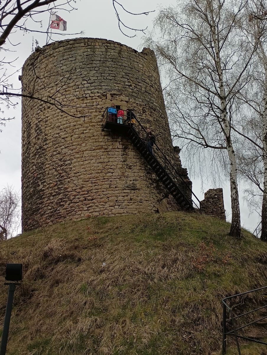Zřícenina hradu Michalovice