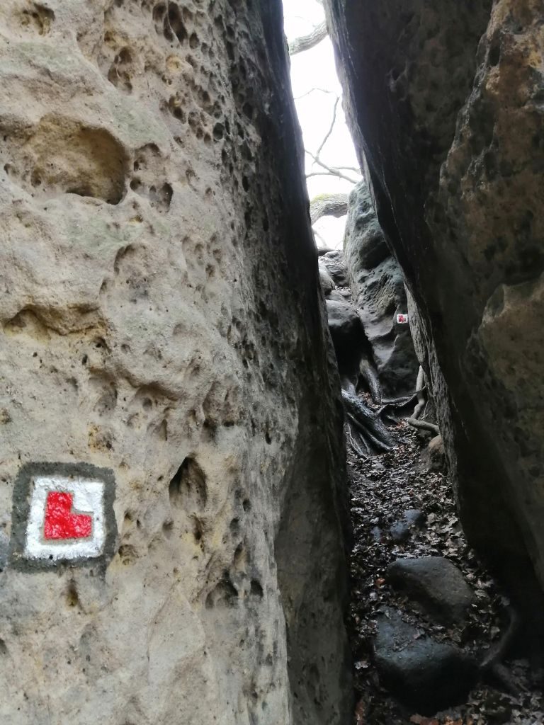 Zřícenina hradu Pustý zámek
