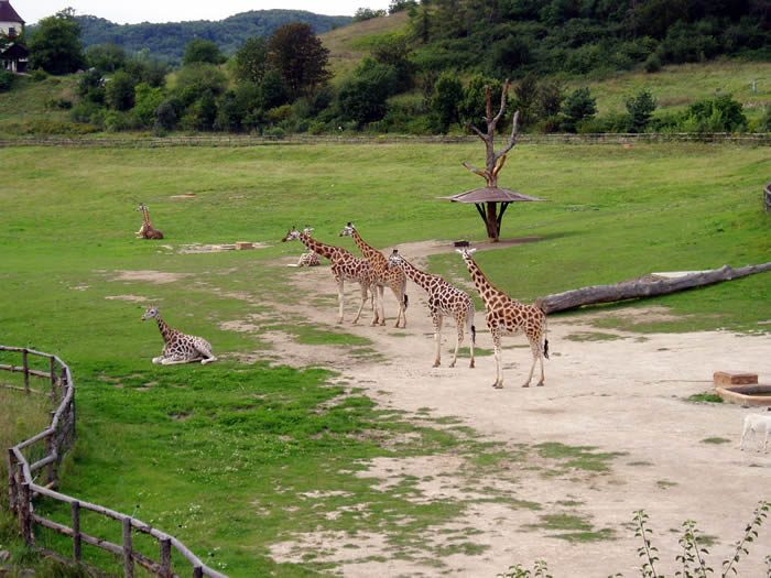 Zoo Praha